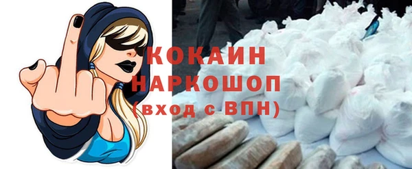 гашик Алзамай