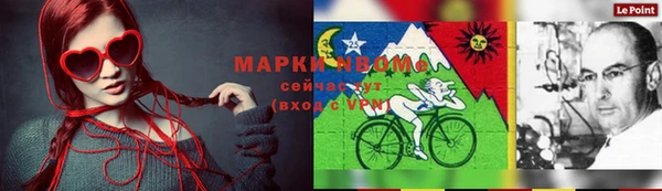 гашик Алзамай