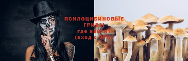 гашик Алзамай