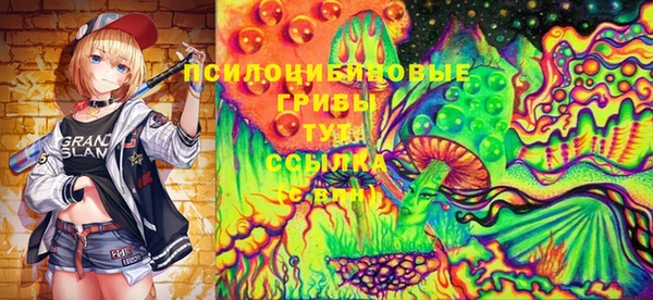 гашик Алзамай